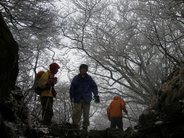 c0042869_2193528.jpg