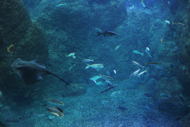 a0088571_19574627.jpg