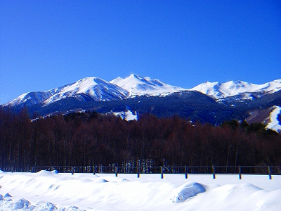f0182173_1321321.jpg