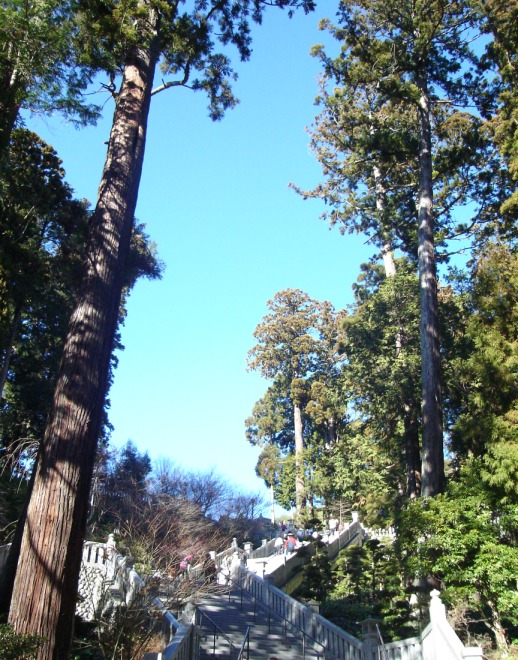 c0170974_22325295.jpg