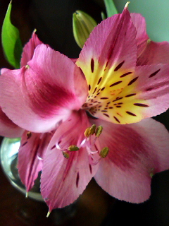 f0140174_1544070.jpg