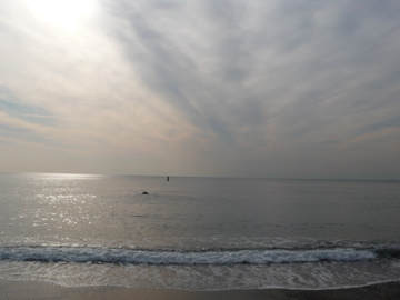 e0113675_11385963.jpg