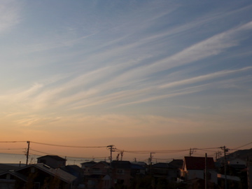 e0113675_11393744.jpg