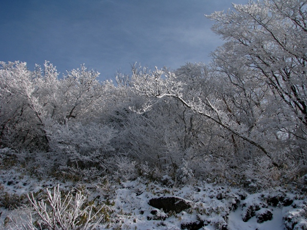 d0126580_1431957.jpg