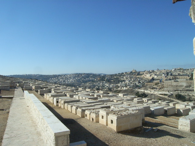c0119583_662265.jpg