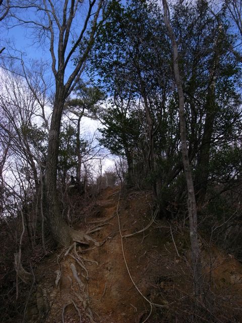 e0129083_2054992.jpg