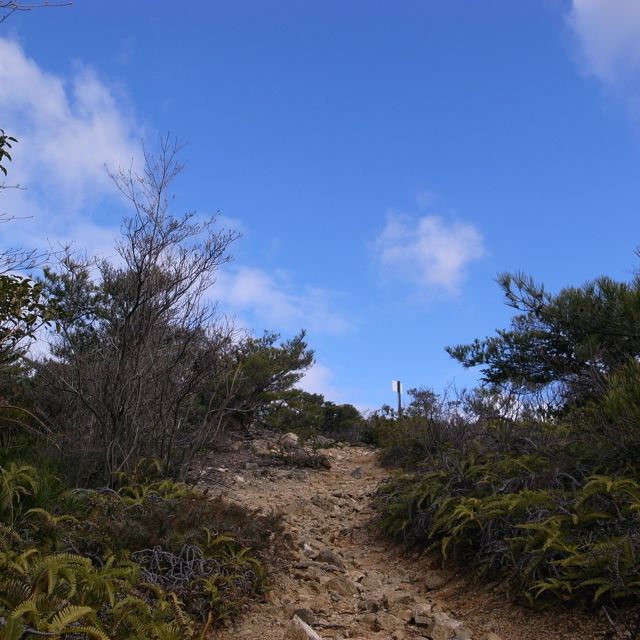 e0129083_2124484.jpg