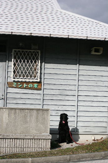 d0070289_1713267.jpg