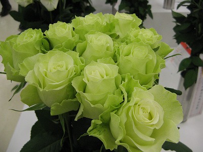 f0100289_17132298.jpg