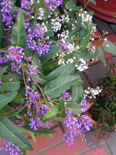 d0092990_12312363.jpg