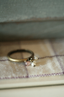 d0100192_2312135.gif