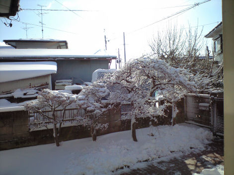 b0124693_927153.jpg