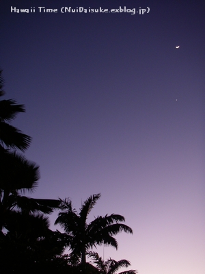 d0032693_7401880.jpg