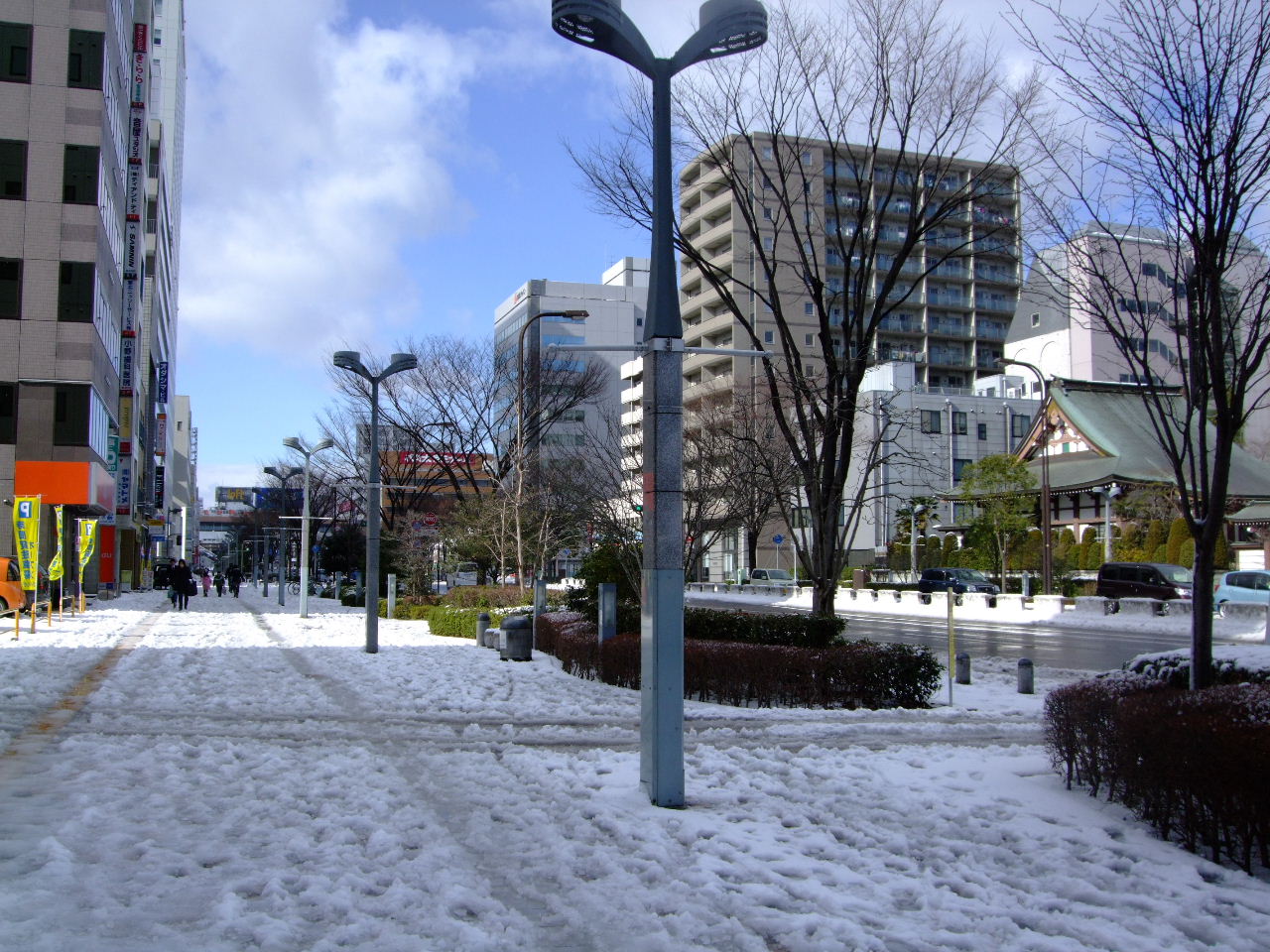 f0100593_13191027.jpg