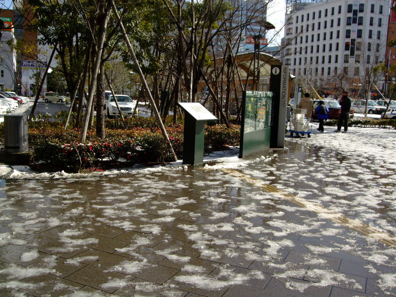 f0100593_13214476.jpg
