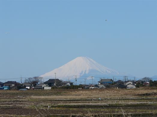 d0145794_16512167.jpg