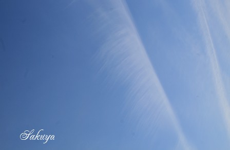 e0122194_20181170.jpg