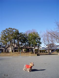 f0130894_20202876.jpg