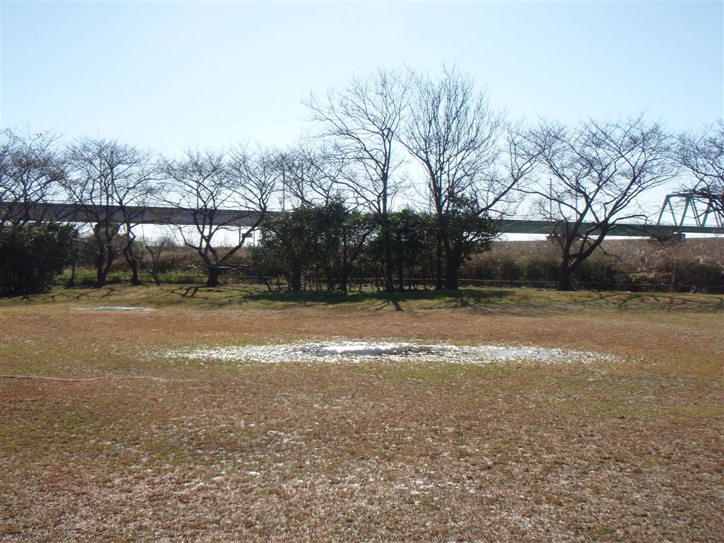 c0177497_2094174.jpg