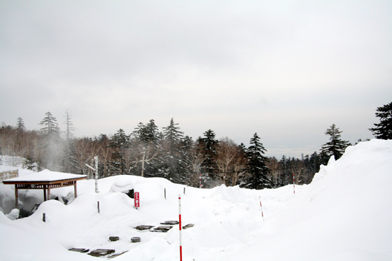 d0117900_155683.jpg