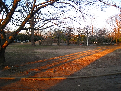 d0046702_11143917.jpg