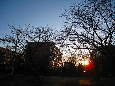 d0046702_11145245.jpg