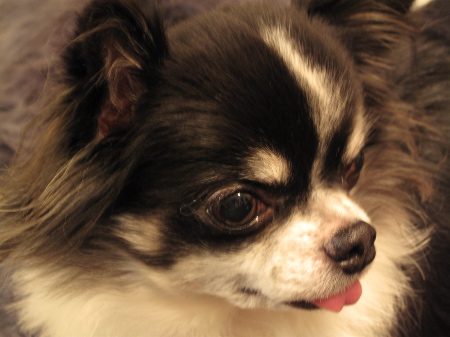 a0079803_0133197.jpg