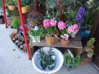 c0157103_15143849.jpg