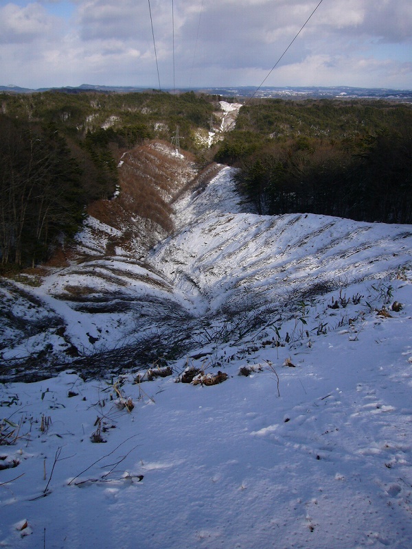 b0050305_19315554.jpg