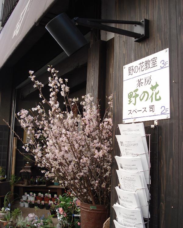 f0084806_10362312.jpg