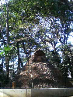a0088007_0365036.jpg