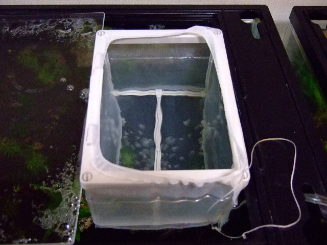 f0152308_18445399.jpg