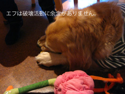 c0012120_21415296.jpg
