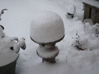 e0114020_22401112.jpg