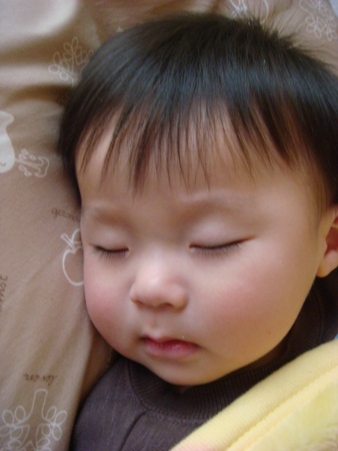 f0042726_17441334.jpg