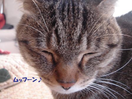 c0156328_1222992.jpg