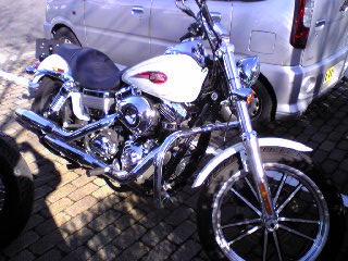 a0099129_005298.jpg