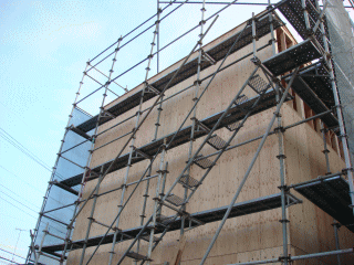 a0009333_23151483.gif