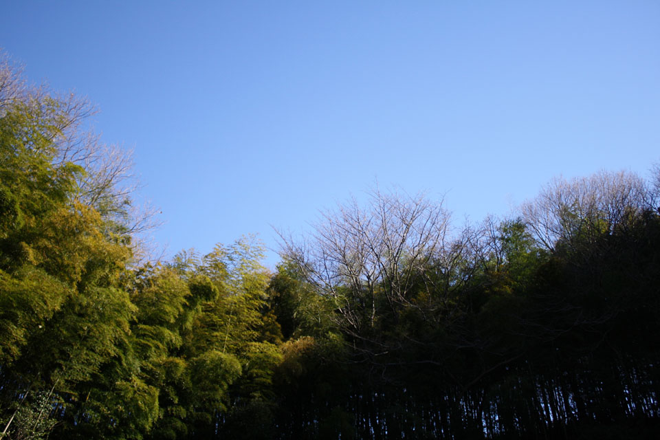 e0044635_1730640.jpg