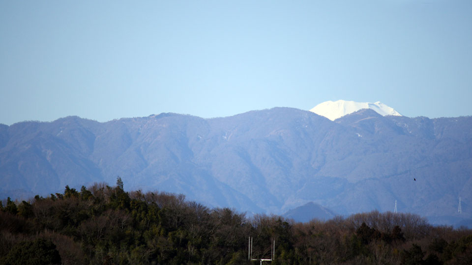 e0044635_1736731.jpg