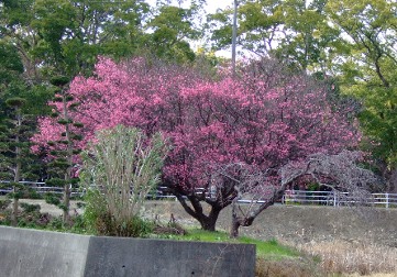 b0149340_20512168.jpg