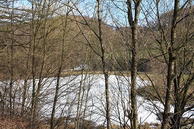 c0153740_5355023.jpg