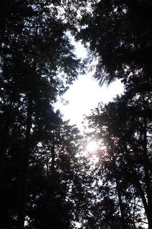 c0129642_23144481.jpg