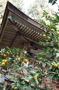 c0129642_2315723.jpg