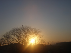 c0153444_7234716.jpg