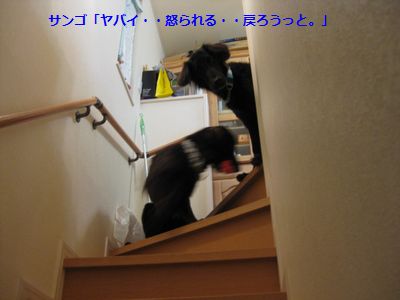 b0148945_13241013.jpg