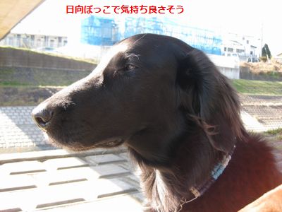 b0148945_13302734.jpg