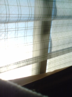 c0186860_832948.jpg