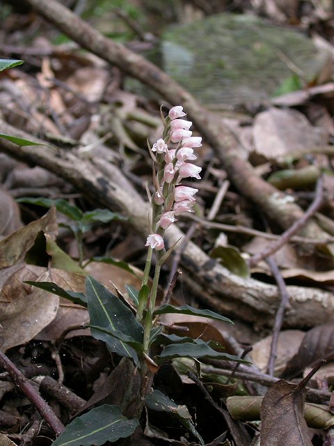 b0104861_19392740.jpg