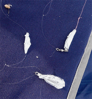 f0163063_16434884.gif
